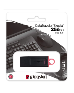 PEN DRIVE 256GB KINGSTON USB 3.2 DTX/256GB