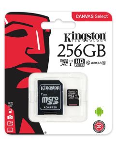Scheda di memoria 256GB Kingston MicroSD Classe 10 100R A1